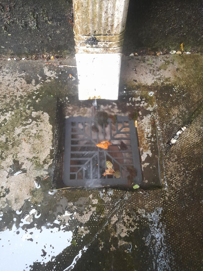 HedgeHogs Drain Cleaning-Before