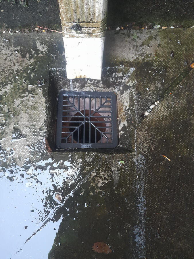 HedgeHogs Drain Cleaning-After