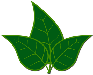 HedgeHogs-GroundsCare-Leaves